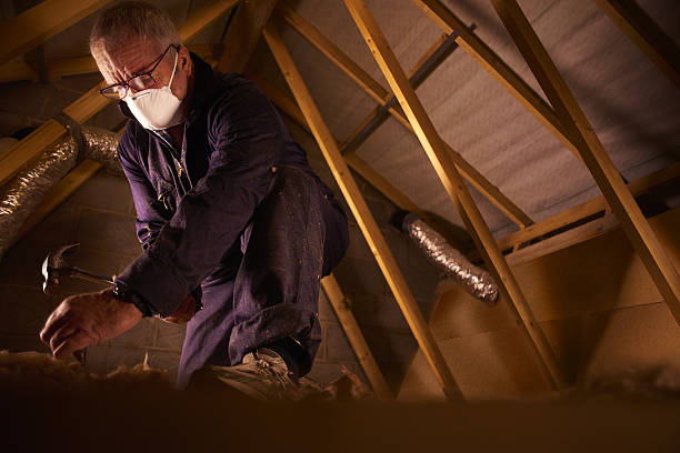 Best Residential Insulation in Seatac, WA